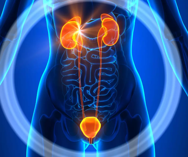 Compétence 16 : Procédés de soins et systèmes urinaire et reproducteur