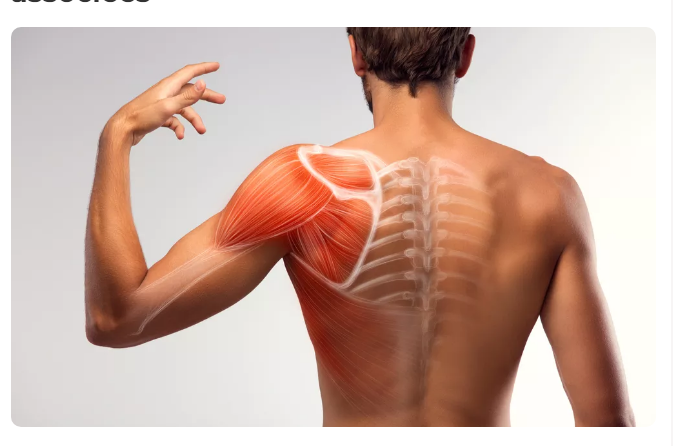 Compétence 7 : Procédés de soins et système musculosquelettique