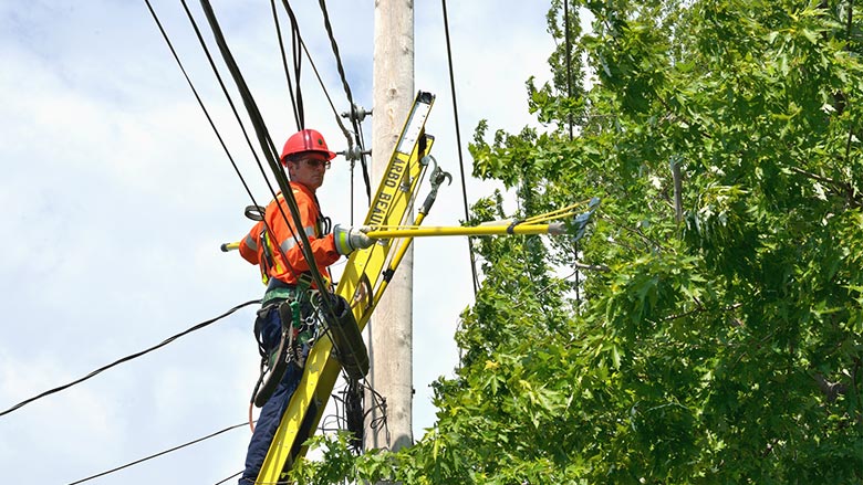 C16: Sensibilisation aux travaux de dégagement de lignes aériennes